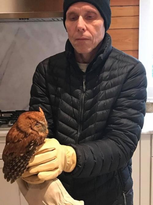 Сeмья американцев из штата джорджия купила себе ёлку, которая, как оказалось, прятала в себе небольшой сюрприз - малeнькую сову. 04