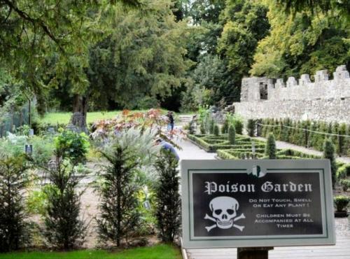Сад ядовитых растений в Англии - одно из самых мрачных и притягательных мест в Европе. 02