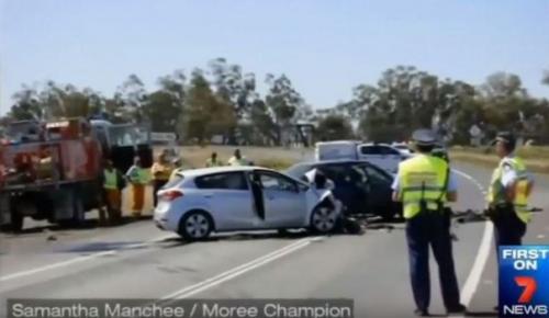 Выберите дерево которое кажется вам наиболее привлекательным. Врачи ребенку голову пришили.