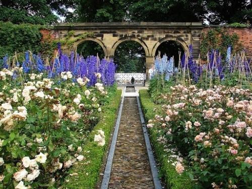 Сад ядовитых растений в Англии - одно из самых мрачных и притягательных мест в Европе. 04