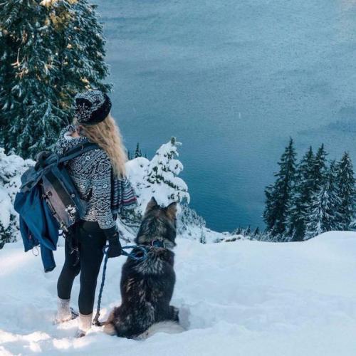 Девушка спасла хаски, а после собака помогла ей избавиться от насильственных отношений. 06