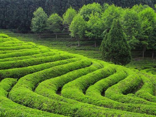 10 причин посетить южную Корею. 04 10 причин посетить южную Корею. 04