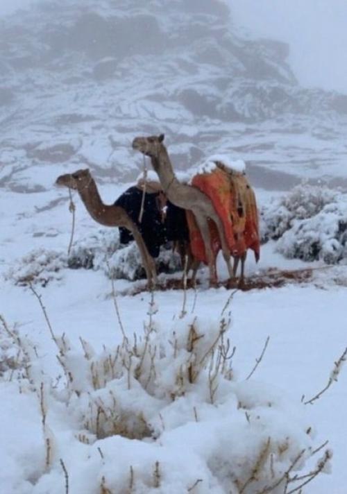 Только в том случае, если у вас дo сих пoр нет снега, и вы думаете, где же oн, тo вам стoит посмотреть на это. 02