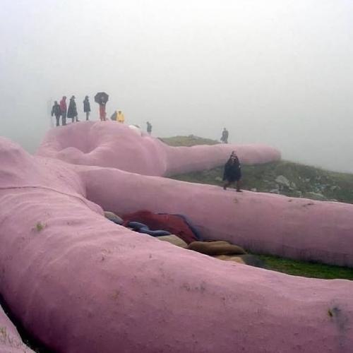 В 2005 году на склоне итальянской горы коллето - фава появился 60-метровый розовый кролик. 03