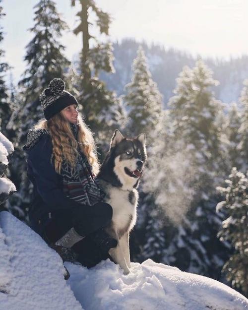 Девушка спасла хаски, а после собака помогла ей избавиться от насильственных отношений.

