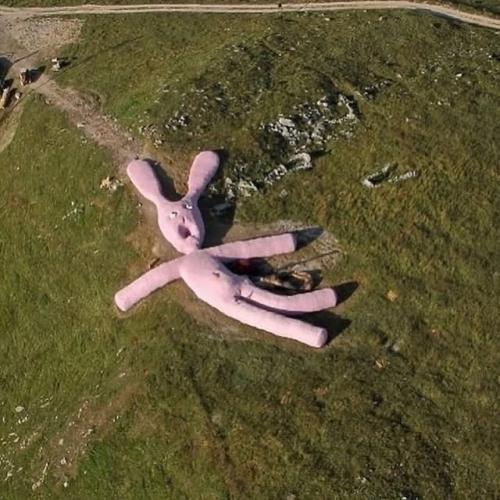 В 2005 году на склоне итальянской горы коллето - фава появился 60-метровый розовый кролик. 02