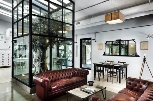 Дома, архитекторы которых отказались спиливать деревья. 06