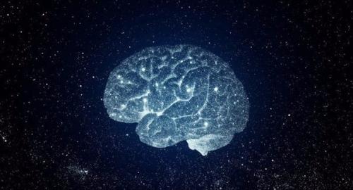 10 продуктов, которые заставляют мозг работать. 10 продуктов, которые заставляют мозг работать.