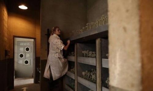 Ничего необычного, просто фабрика одуванчиков в Лос-анджелес. 02