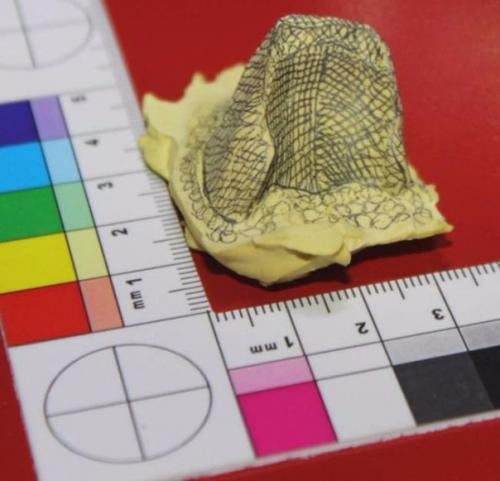 Попугаю по имени гиги клюв из титана напечатали. 01