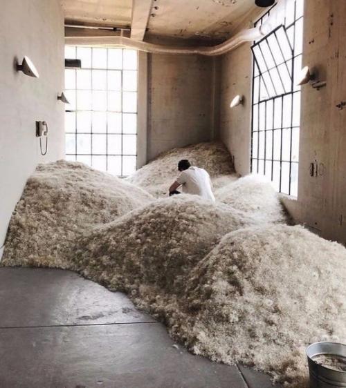 Ничего необычного, просто фабрика одуванчиков в Лос-анджелес. 01