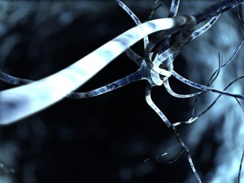 Несколько эффективных способов запомнить все.