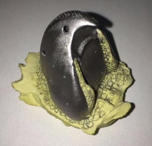 Попугаю по имени гиги клюв из титана напечатали. 02