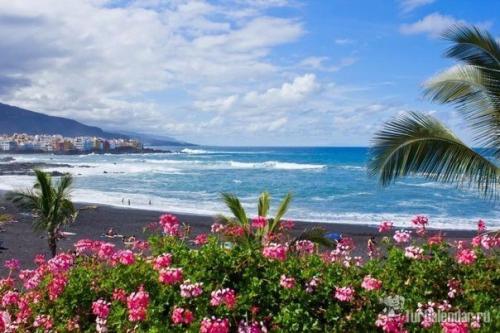 Рай обетованный.
Тенерифе.
