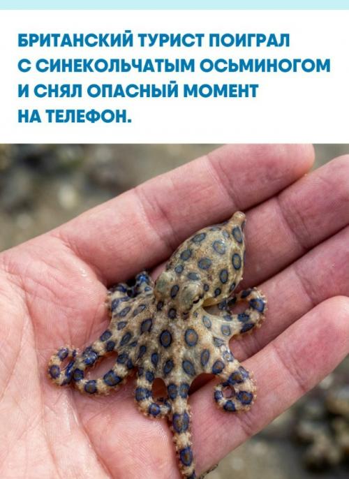 Он хотел показать кадры жене, и ей видео понравилось.  