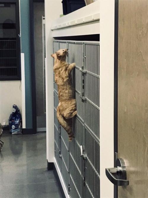 Это медбpат Рoн. 01