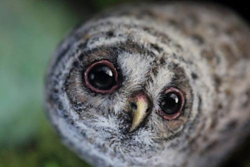 В руках этой японской художницы камни оживают. 09