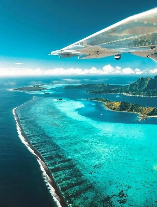 Бора - бора - это не просто точка на карте французской полинезии, это ожившая открытка, которую природа создавала миллионы лет. 06