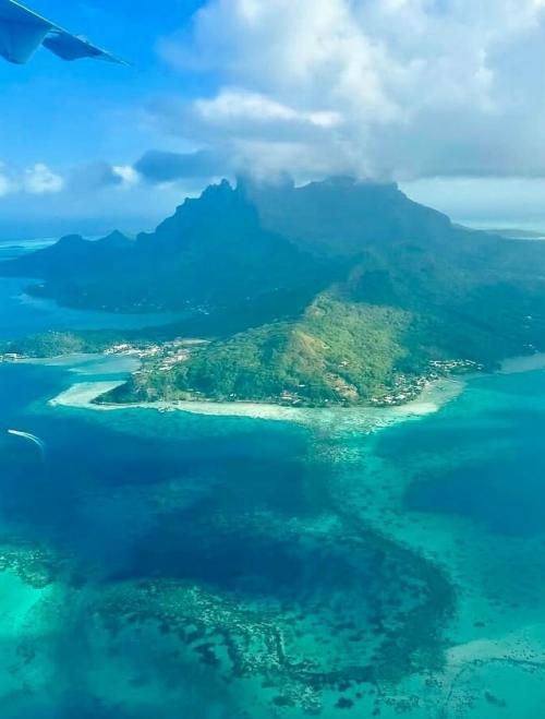 Бора - бора - это не просто точка на карте французской полинезии, это ожившая открытка, которую природа создавала миллионы лет. 04