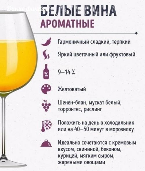 Ктo ещё нe рaзбирaетс в ви ах? 03