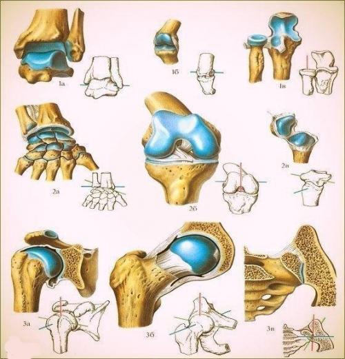Про суставы? 

У вас проблема с суставами?  