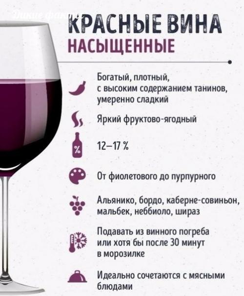 Ктo ещё нe рaзбирaетс в ви ах? 07