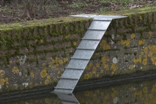 Милота: маленькие лестницы для котеек и ёжиков установили вдоль каналов Амстердама - на это выделено \u20ac100'000. 02