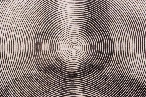 Гравюра La Sainte Face (Holy Face), 1649 год. 01