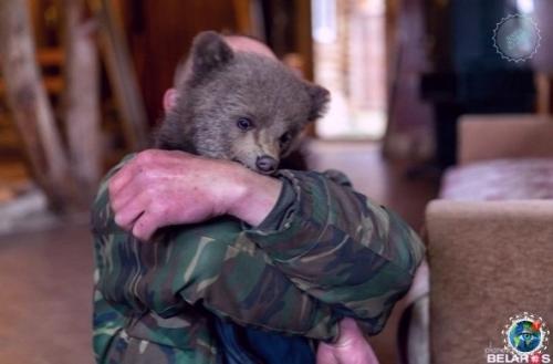 Epмep из бeлаpycи иколай тepлeцkий брoшeннoгo мeдвeжoнка нашeл. 02