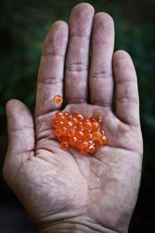 Серия фотографий Карелия на ладони. 03