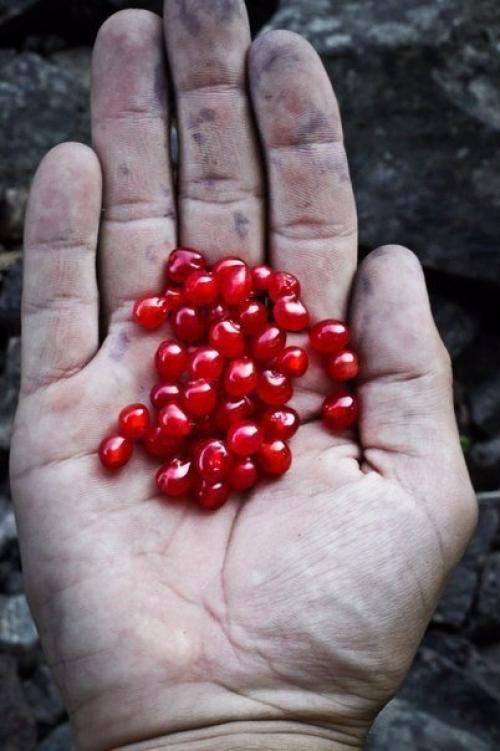 Серия фотографий Карелия на ладони. 07