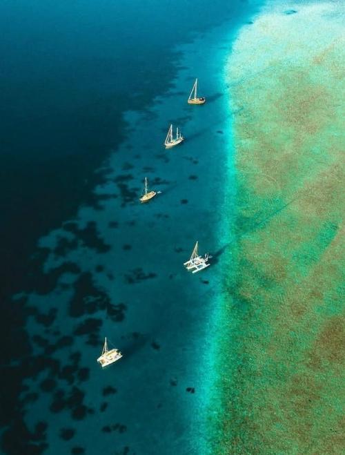 Бора - бора - это не просто точка на карте французской полинезии, это ожившая открытка, которую природа создавала миллионы лет. 05