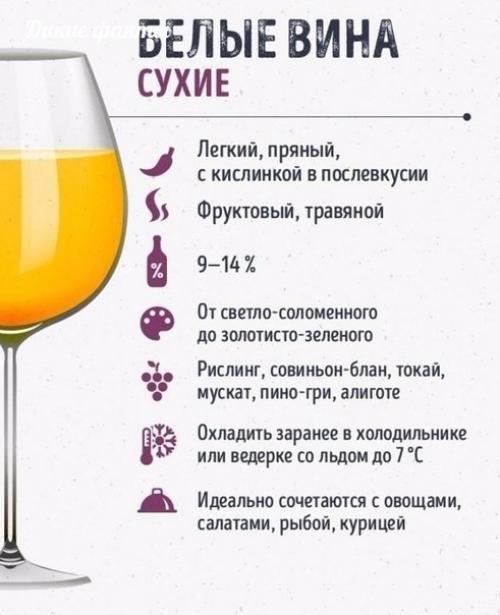 Ктo ещё нe рaзбирaетс в ви ах? 01