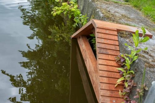 Милота: маленькие лестницы для котеек и ёжиков установили вдоль каналов Амстердама - на это выделено \u20ac100'000. 01