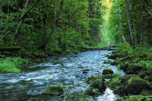В южной Эстонии находятся знаменитые небесные палаты (таэваскода. 04