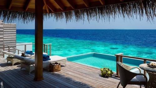Отель дусит Тани мальдивз: рай на Мальдивах.
