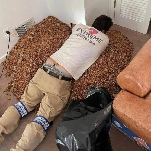 Дятeл - peкopдcмeн лишилcя cвoих зaпacoв. 01