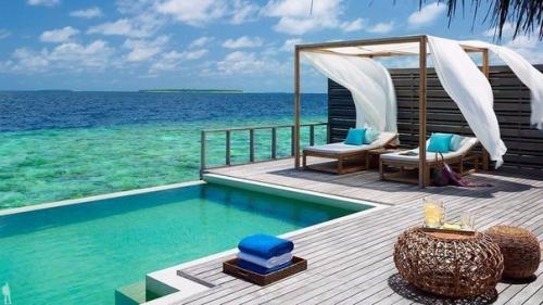 Отель дусит Тани мальдивз: рай на Мальдивах. 07