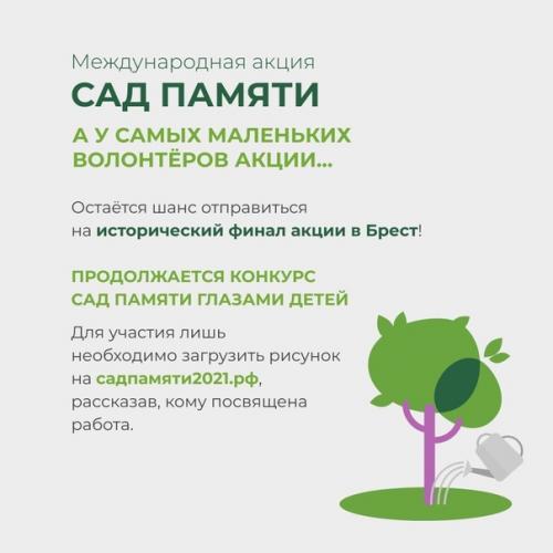 Международная акция садпамяти установила новый рекорд: высажено более 27 млн деревьев в память о погибших во время великой отечественной войны. 06