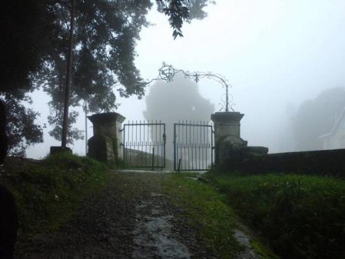 Самые жуткие леса планеты. 07