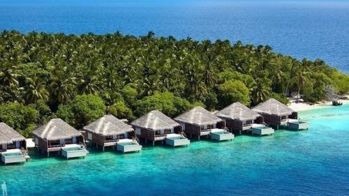 Отель дусит Тани мальдивз: рай на Мальдивах. 05