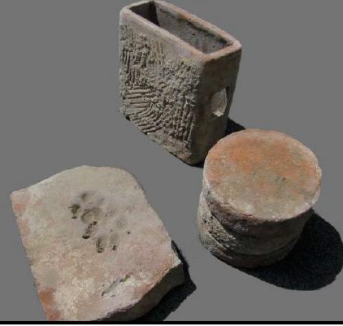 Как кошки в истории наследили. 05