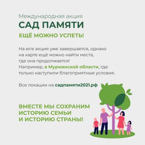 Международная акция садпамяти установила новый рекорд: высажено более 27 млн деревьев в память о погибших во время великой отечественной войны. 08