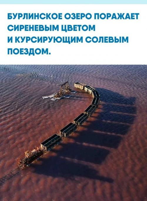 Алтайское озеро бурсоль по праву феноменальным природным объектом считается.  
