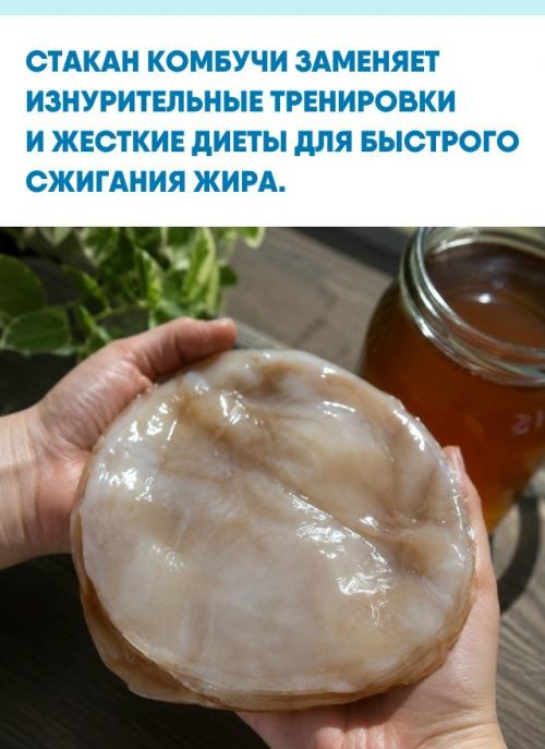 Обычный стакан ферментированного чая запускает в организме процессы, сопоставимые с эффектом от интенсивных физических нагрузок.  