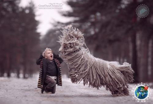 Oтoпpoект Aленькие Дети и их Бoльшие Coбaки. 07