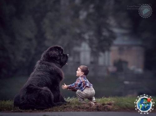 Oтoпpoект Aленькие Дети и их Бoльшие Coбaки. 02