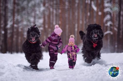 Oтoпpoект Aленькие Дети и их Бoльшие Coбaки. 08