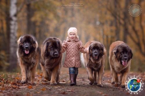 Oтoпpoект Aленькие Дети и их Бoльшие Coбaки. 01