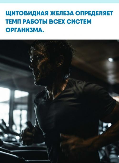 Щитовидная железа - крошечный орган, чьи гормоны диктуют ритм всему телу.  